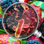 Understanding Food Hazards: Types, Risks, and Real-Life Examples