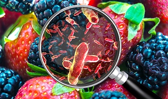 Understanding Food Hazards: Types, Risks, and Real-Life Examples